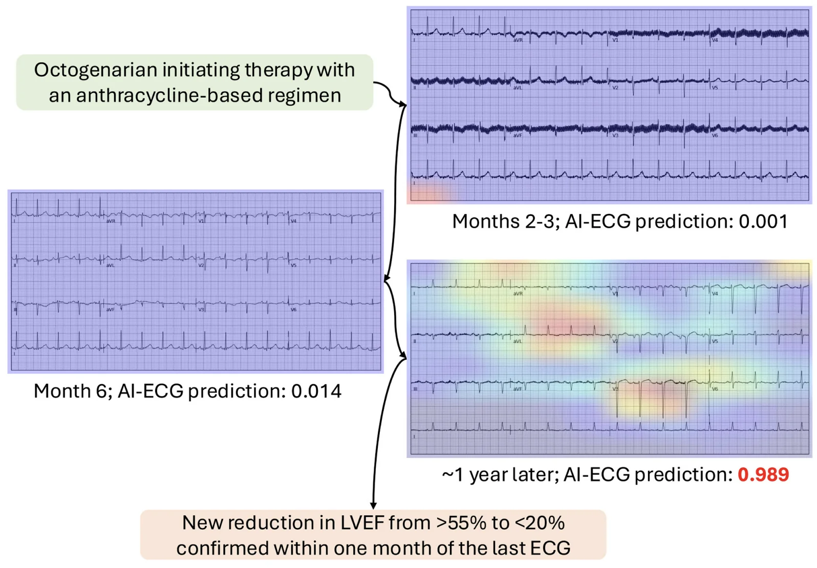 Circulation Outcomes 2025 figure